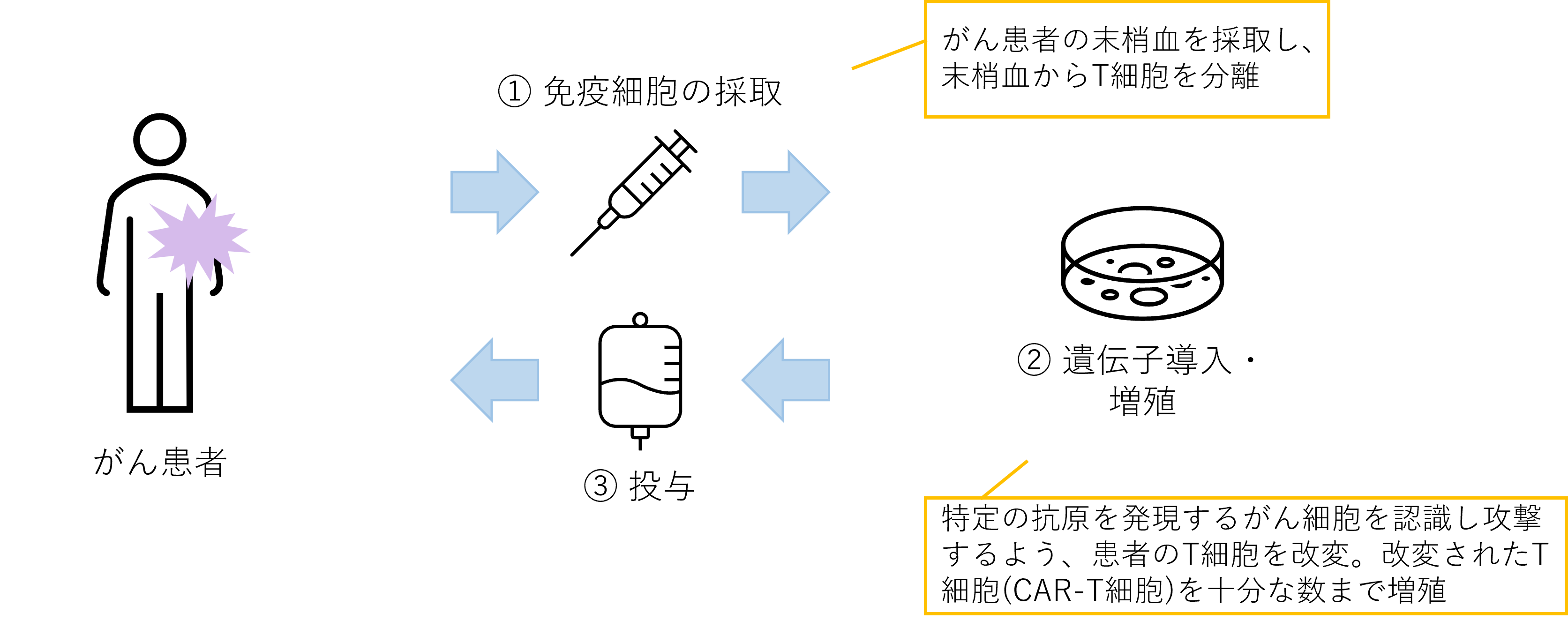 CAR-T